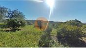 Vente Terrain Faro ESTOI 3840 m2 Portugal