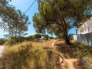 Vente Terrain Faro MONTENEGRO 5320 m2 Portugal