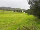Vente Terrain Faro SANTA-BARBARA-DE-NEXE 3720 m2 Portugal
