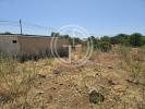 Vente Terrain Faro SANTA-BA�RBARA-DE-NEXE 2000 m2 Portugal
