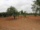 Vente Terrain Faro CONCEIAAO-E-ESTOI 8250 m2 Portugal