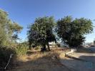 Vente Terrain Faro SANTA-BARBARA-DE-NEXE 3280 m2 Portugal