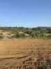 Vente Terrain Faro SANTA-BARBARA-DE-NEXE 2450 m2 Portugal