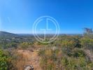 Vente Terrain Faro SANTA-BA¡RBARA-DE-NEXE 32767 m2 Portugal