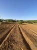 Vente Terrain Faro SANTA-BA�RBARA-DE-NEXE 2450 m2 Portugal