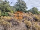 Vente Terrain Faro CONCEIA§A£O-E-ESTOI 11943 m2 Portugal