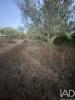 Vente Terrain Faro 900 m2 Portugal