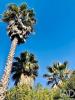 Vente Maison Faro CONCEIA§A£O-E-ESTOI 300 m2 Portugal