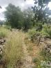Vente Terrain Faro SANTA-BA�RBARA-DE-NEXE 1720 m2 Portugal