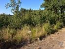 Vente Terrain Ferreira-do-zezere CHAOS 2240 m2 Portugal
