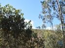 Vente Terrain Ferreira-do-zezere CHAOS 5380 m2 Portugal