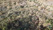 Vente Terrain Ferreira-do-zezere CHAOS 6760 m2 Portugal
