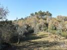 Vente Terrain Ferreira-do-zezere CHAOS 1600 m2 Portugal