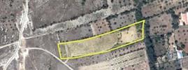 Vente Terrain Ferreira-do-zezere CHAOS 9160 m2 Portugal