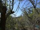 Vente Terrain Ferreira-do-zezere CHAOS 800 m2 Portugal