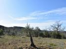 Vente Terrain Ferreira-do-zezere CHA�OS 2741 m2 Portugal