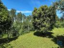 Vente Maison Ferreira-do-zezere FERREIRA-DO-ZAZERE 200 m2 Portugal