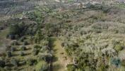 Vente Terrain Ferreira-do-zezere CHAOS 2000 m2 Portugal