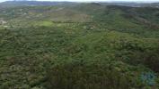 Vente Terrain Ferreira-do-zezere CHA£OS 4880 m2 Portugal