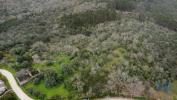 Vente Terrain Ferreira-do-zezere CHA£OS 150 m2 Portugal