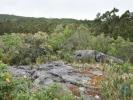 Vente Terrain Ferreira-do-zezere CHA£OS 15040 m2 Portugal