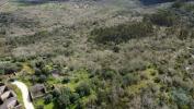 Vente Terrain Ferreira-do-zezere CHA�OS 480 m2 Portugal