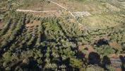 Vente Terrain Ferreira-do-zezere CHAOS 4800 m2 Portugal