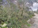 Vente Terrain Ferreira-do-zezere CHA£OS 3040 m2 Portugal