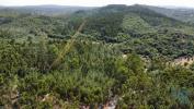Vente Terrain Ferreira-do-zezere CHA�OS 1480 m2 Portugal