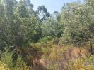 Vente Terrain Ferreira-do-zezere  1760 m2 Portugal