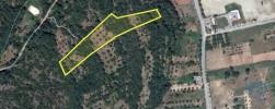 Vente Terrain Ferreira-do-zezere AREIAS-E-PIAS 7520 m2 Portugal