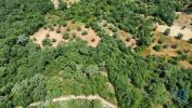 Vente Terrain Ferreira-do-zezere CHA£OS 3680 m2 Portugal