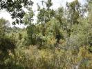Vente Terrain Ferreira-do-zezere CHA£OS 880 m2 Portugal