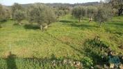 Vente Terrain Ferreira-do-zezere IGREJA-NOVA-DO-SOBRAL 7665 m2 Portugal
