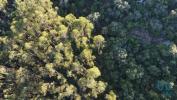 Vente Terrain Ferreira-do-zezere CHA£OS 14600 m2 Portugal