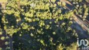 Vente Terrain Ferreira-do-zezere CHA£OS 3400 m2 Portugal