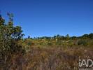Vente Terrain Ferreira-do-zezere  17000 m2 Portugal