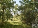 Vente Terrain Ferreira-do-zezere AREIAS-E-PIAS 5960 m2 Portugal