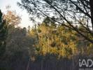 Vente Terrain Ferreira-do-zezere AREIAS-E-PIAS 5240 m2 Portugal