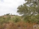 Vente Terrain Ferreira-do-zezere AREIAS-E-PIAS 5640 m2 Portugal