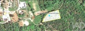 Vente Terrain Ferreira-do-zezere AREIAS-E-PIAS 3400 m2 Portugal