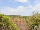Vente Terrain Ferreira-do-zezere AREIAS-E-PIAS 1600 m2 Portugal