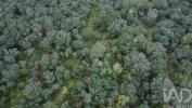 Vente Terrain Ferreira-do-zezere  1080 m2 Portugal