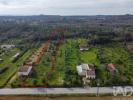 Vente Terrain Ferreira-do-zezere AREIAS-E-PIAS 5800 m2 Portugal