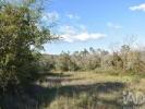 Vente Terrain Ferreira-do-zezere CHA�OS 5400 m2 Portugal