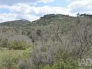 Vente Terrain Ferreira-do-zezere CHA£OS 3320 m2 Portugal