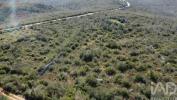 Vente Terrain Ferreira-do-zezere CHA�OS 15360 m2 Portugal