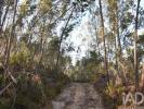 Vente Terrain Ferreira-do-zezere CHA�OS 1240 m2 Portugal