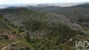 Vente Terrain Ferreira-do-zezere CHA�OS 8200 m2 Portugal