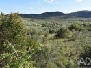 Vente Terrain Ferreira-do-zezere CHA£OS 5000 m2 Portugal